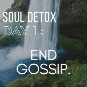 Soul Detox 1