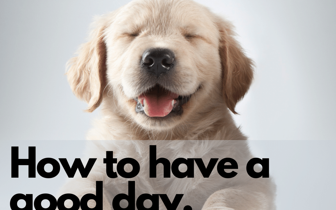 How to have a good day: 5 simple steps to more happiness.