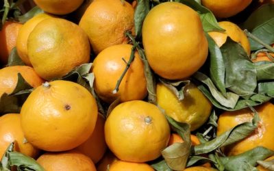 Diet detox symptoms