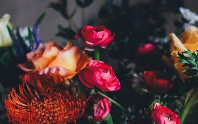 Functional medicine and Western medicine?