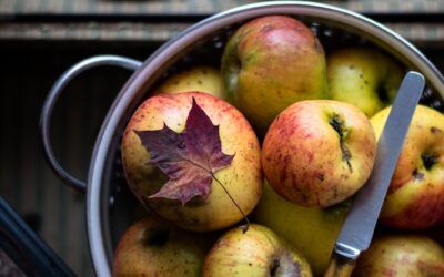 Fruits and Veggies to Munch Between Summer and Fall