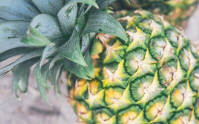 Grilled Chicken with Pineapple Salsa